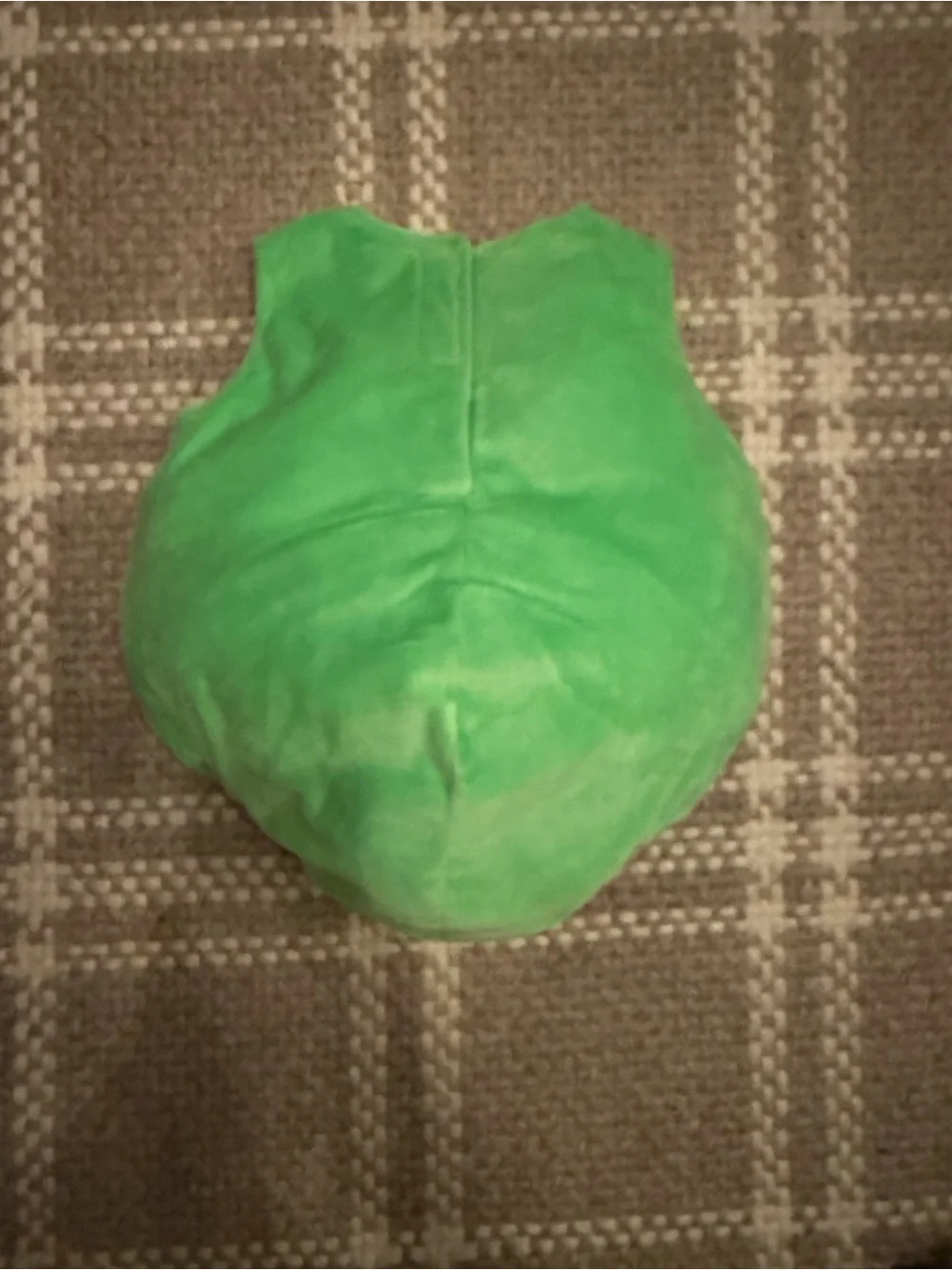 Pottery Barn plush green